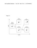 REGULATORY T-CELLS FOR USE IN THE TREATMENT OF INFLAMMATORY DISORDERS OF     THE HUMAN GASTROINTESTINAL TRACT diagram and image