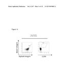 REGULATORY T-CELLS FOR USE IN THE TREATMENT OF INFLAMMATORY DISORDERS OF     THE HUMAN GASTROINTESTINAL TRACT diagram and image