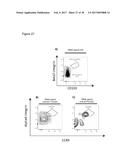 REGULATORY T-CELLS FOR USE IN THE TREATMENT OF INFLAMMATORY DISORDERS OF     THE HUMAN GASTROINTESTINAL TRACT diagram and image