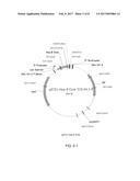 SPECIFIC VIRUS-LIKE PARTICLE-CpG OLIGONUCLEOTIDE VACCINES AND USES THEREOF diagram and image