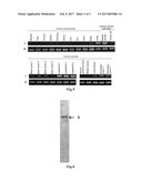 IMMUNE RESPONSE INDUCER diagram and image