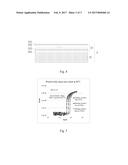 COLOR FILM SUBSTRATE, TOUCH DISPLAY AND METHOD FOR MANUFACTURING THE COLOR     FILM SUBSTRATE diagram and image