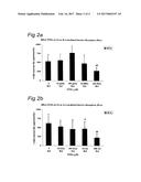 INTESTINAL BARRIER INTEGRITY diagram and image