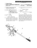 SURGICAL STAPLING DEVICE WITH INDEPENDENT TIP ROTATION diagram and image