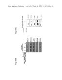 THERAPEUTIC COMPOSITIONS CONTAINING HARMINE AND ISOVANILLIN COMPONENTS,     AND METHODS OF USE THEREOF diagram and image