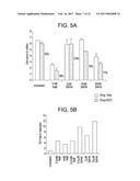 METHODS AND COMPOSITIONS FOR TREATING VIRAL OR VIRALLY-INDUCED CONDITIONS diagram and image