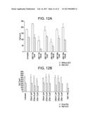 METHODS AND COMPOSITIONS FOR TREATING VIRAL OR VIRALLY-INDUCED CONDITIONS diagram and image