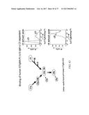 TREATMENT OF COMPLEMENT-ASSOCIATED DISORDERS diagram and image