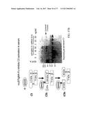 TREATMENT OF COMPLEMENT-ASSOCIATED DISORDERS diagram and image