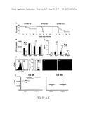 TREATMENT OF COMPLEMENT-ASSOCIATED DISORDERS diagram and image