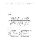 PEPTIDES DERIVED FROM RS1 WHICH DOWN-REGULATE GLUCOSE ABSORPTION AFTER A     GLUCOSE RICH MEAL AND INCREASE INSULIN SENSITIVITY diagram and image