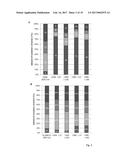 Peptides for the Treatment of Cancer diagram and image