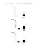 METAL-GLYCOPROTEIN COMPLEXES AND PHOTODYNAMIC THERAPY OF IMMUNE PRIVILEGED     SITES WITH SAME diagram and image