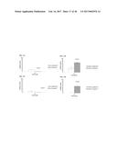 METAL-GLYCOPROTEIN COMPLEXES AND PHOTODYNAMIC THERAPY OF IMMUNE PRIVILEGED     SITES WITH SAME diagram and image