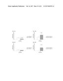 METAL-GLYCOPROTEIN COMPLEXES AND PHOTODYNAMIC THERAPY OF IMMUNE PRIVILEGED     SITES WITH SAME diagram and image