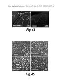 CNS DELIVERY OF THERAPEUTIC AGENTS diagram and image