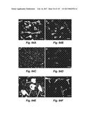 CNS DELIVERY OF THERAPEUTIC AGENTS diagram and image