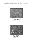 CNS DELIVERY OF THERAPEUTIC AGENTS diagram and image