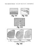 CNS DELIVERY OF THERAPEUTIC AGENTS diagram and image