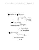 TARGETING OF GLYCOPROTEIN THERAPEUTICS diagram and image