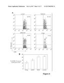 RECOMBINANT LISTERIA VACCINE STRAINS AND METHODS OF PRODUCING THE SAME diagram and image