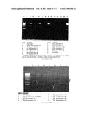 RECOMBINANT LISTERIA VACCINE STRAINS AND METHODS OF PRODUCING THE SAME diagram and image