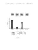 CO-ADMINISTRATION OF AN AGENT LINKED TO AN INTERNALIZATION PEPTIDE WITH AN     ANTI-INFLAMMATORY diagram and image