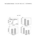 CO-ADMINISTRATION OF AN AGENT LINKED TO AN INTERNALIZATION PEPTIDE WITH AN     ANTI-INFLAMMATORY diagram and image