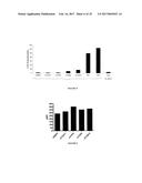 IGF-1R ANTIBODY-DRUG-CONJUGATE AND ITS USE FOR THE TREATMENT OF CANCER diagram and image