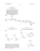 IGF-1R ANTIBODY-DRUG-CONJUGATE AND ITS USE FOR THE TREATMENT OF CANCER diagram and image