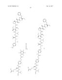 IGF-1R ANTIBODY-DRUG-CONJUGATE AND ITS USE FOR THE TREATMENT OF CANCER diagram and image