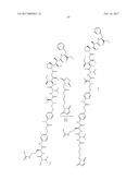 IGF-1R ANTIBODY-DRUG-CONJUGATE AND ITS USE FOR THE TREATMENT OF CANCER diagram and image