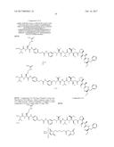 IGF-1R ANTIBODY-DRUG-CONJUGATE AND ITS USE FOR THE TREATMENT OF CANCER diagram and image