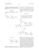 IGF-1R ANTIBODY-DRUG-CONJUGATE AND ITS USE FOR THE TREATMENT OF CANCER diagram and image