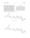 IGF-1R ANTIBODY-DRUG-CONJUGATE AND ITS USE FOR THE TREATMENT OF CANCER diagram and image