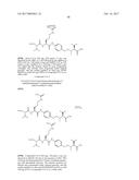 IGF-1R ANTIBODY-DRUG-CONJUGATE AND ITS USE FOR THE TREATMENT OF CANCER diagram and image