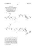 IGF-1R ANTIBODY-DRUG-CONJUGATE AND ITS USE FOR THE TREATMENT OF CANCER diagram and image