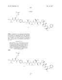 IGF-1R ANTIBODY-DRUG-CONJUGATE AND ITS USE FOR THE TREATMENT OF CANCER diagram and image