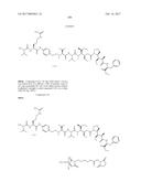 IGF-1R ANTIBODY-DRUG-CONJUGATE AND ITS USE FOR THE TREATMENT OF CANCER diagram and image