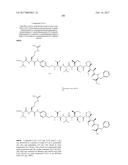 IGF-1R ANTIBODY-DRUG-CONJUGATE AND ITS USE FOR THE TREATMENT OF CANCER diagram and image