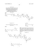 IGF-1R ANTIBODY-DRUG-CONJUGATE AND ITS USE FOR THE TREATMENT OF CANCER diagram and image