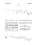 IGF-1R ANTIBODY-DRUG-CONJUGATE AND ITS USE FOR THE TREATMENT OF CANCER diagram and image