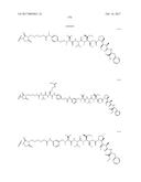 IGF-1R ANTIBODY-DRUG-CONJUGATE AND ITS USE FOR THE TREATMENT OF CANCER diagram and image