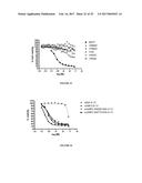 IGF-1R ANTIBODY-DRUG-CONJUGATE AND ITS USE FOR THE TREATMENT OF CANCER diagram and image