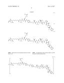 IGF-1R ANTIBODY-DRUG-CONJUGATE AND ITS USE FOR THE TREATMENT OF CANCER diagram and image