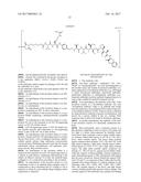 IGF-1R ANTIBODY-DRUG-CONJUGATE AND ITS USE FOR THE TREATMENT OF CANCER diagram and image