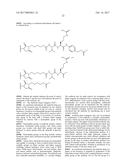 IGF-1R ANTIBODY-DRUG-CONJUGATE AND ITS USE FOR THE TREATMENT OF CANCER diagram and image