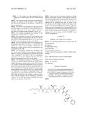 IGF-1R ANTIBODY-DRUG-CONJUGATE AND ITS USE FOR THE TREATMENT OF CANCER diagram and image