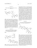 IGF-1R ANTIBODY-DRUG-CONJUGATE AND ITS USE FOR THE TREATMENT OF CANCER diagram and image