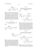 IGF-1R ANTIBODY-DRUG-CONJUGATE AND ITS USE FOR THE TREATMENT OF CANCER diagram and image